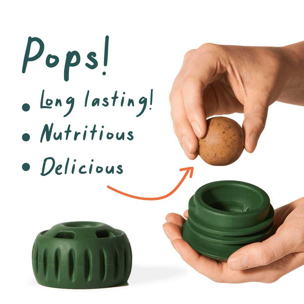 Beef Popsicle Treats for Dogs X75738