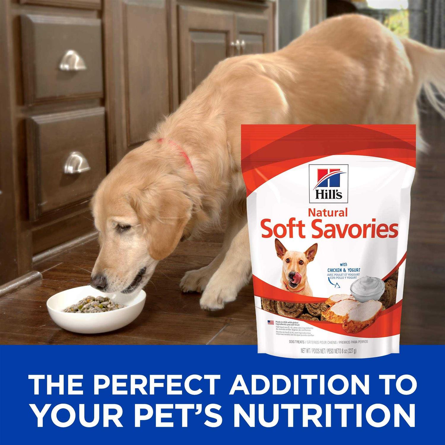 Soft Savories Dog Treats E7013