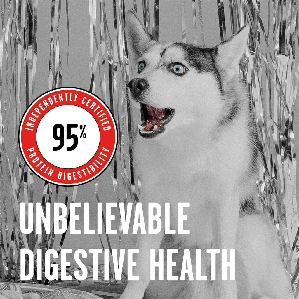 Freeze Dried Beef Dog Food F23032