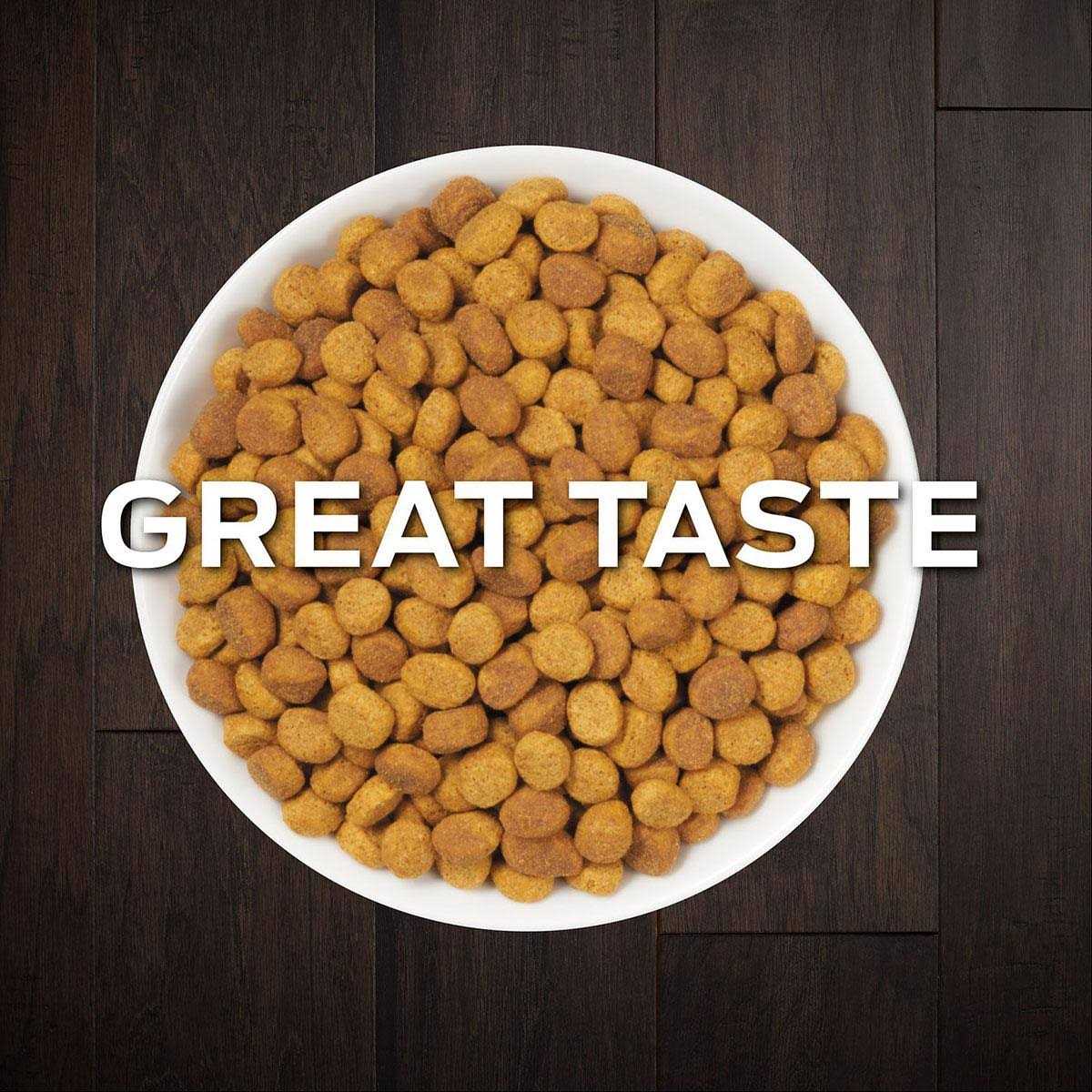 Overweight Management Dry Cat Food B987
