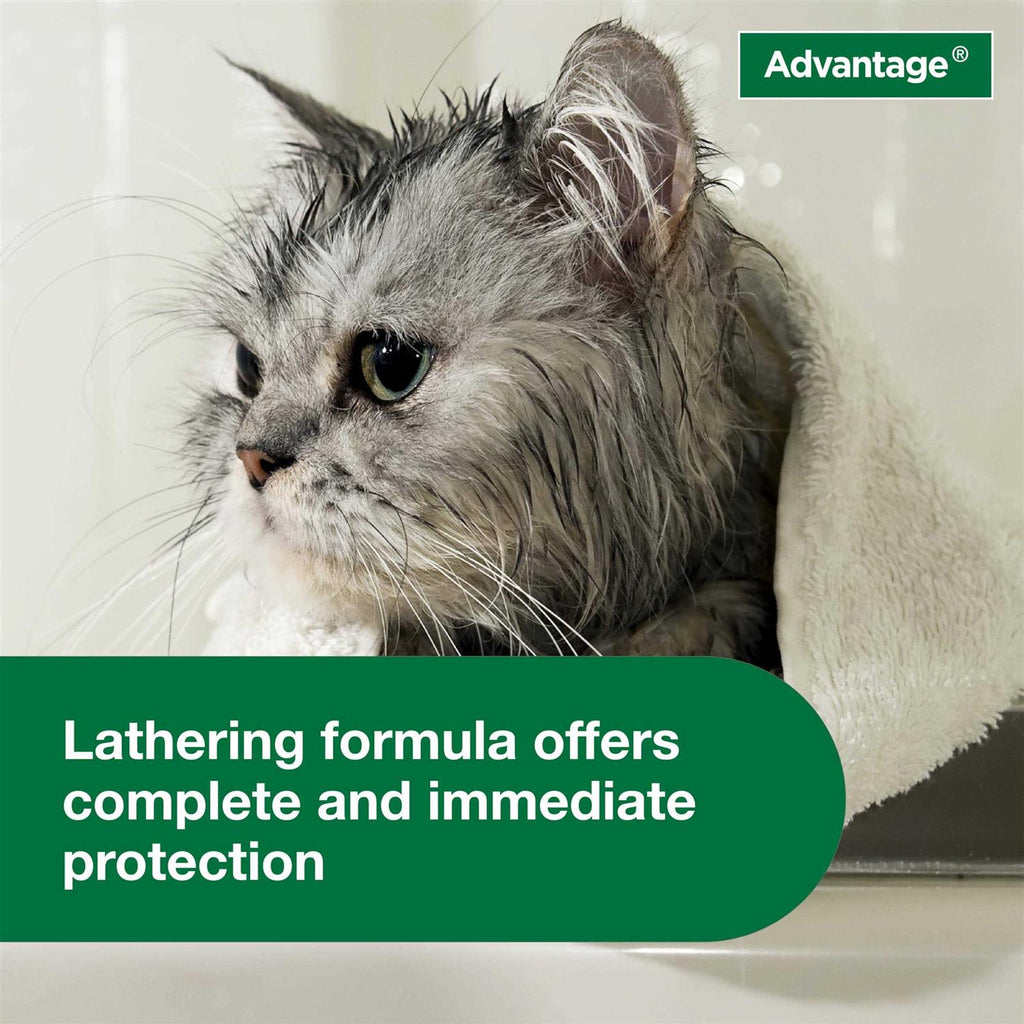 Flea & Tick Treatment Shampoo for Cats & Kittens K4250