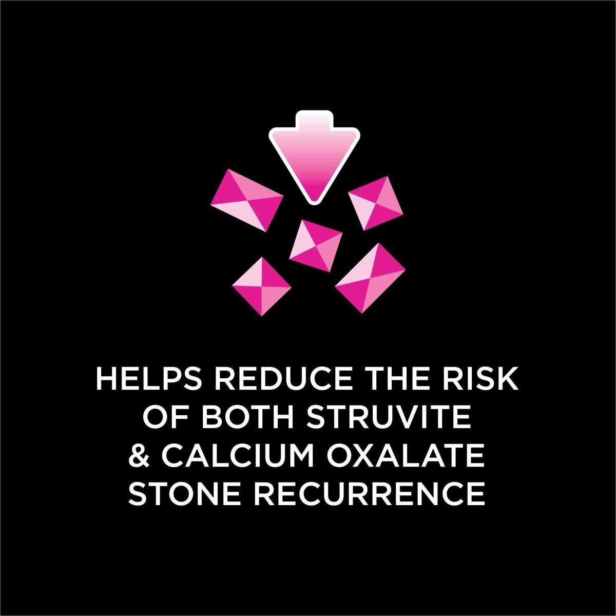 Urinary Care Dry Cat Food X843