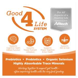 Grain Free Venison Red Lentils Dog Food I1345