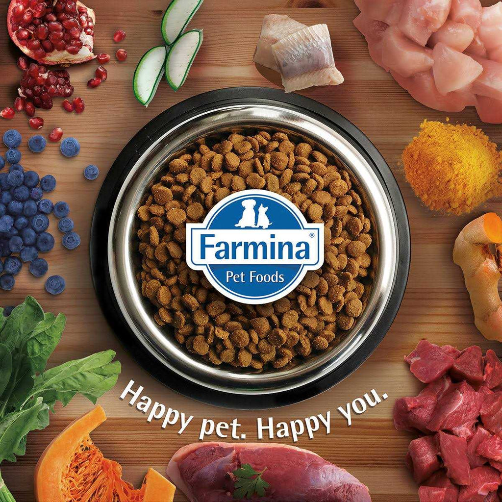 Weight Management Lamb Dry Cat Food W214