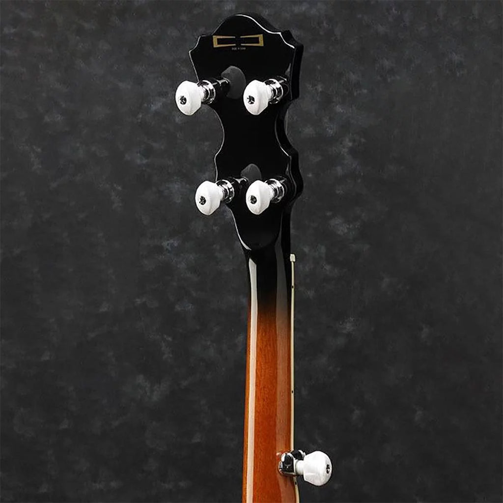 5-String Banjo J3964