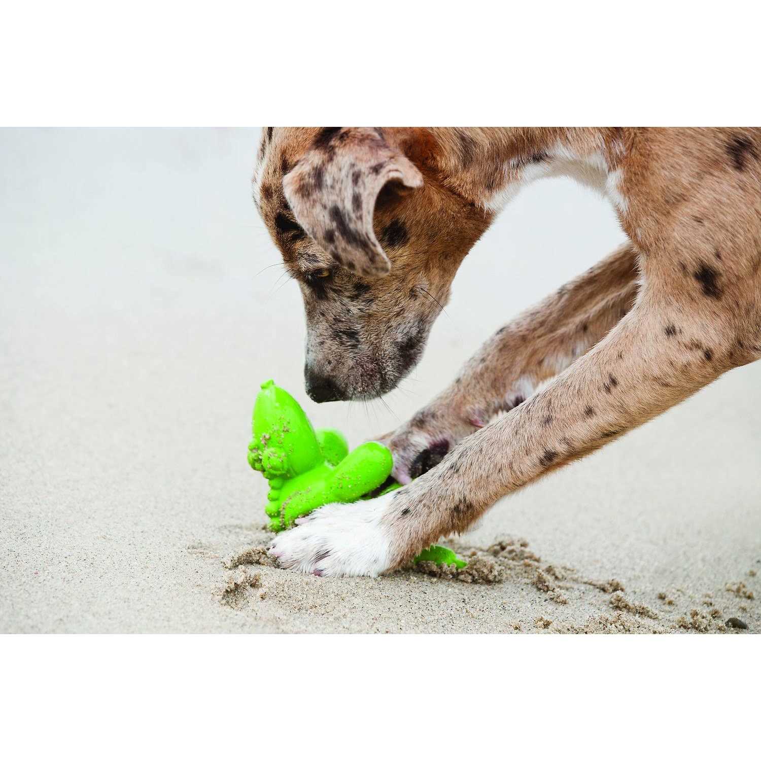 Balloon Dog Toy for Pets S9390