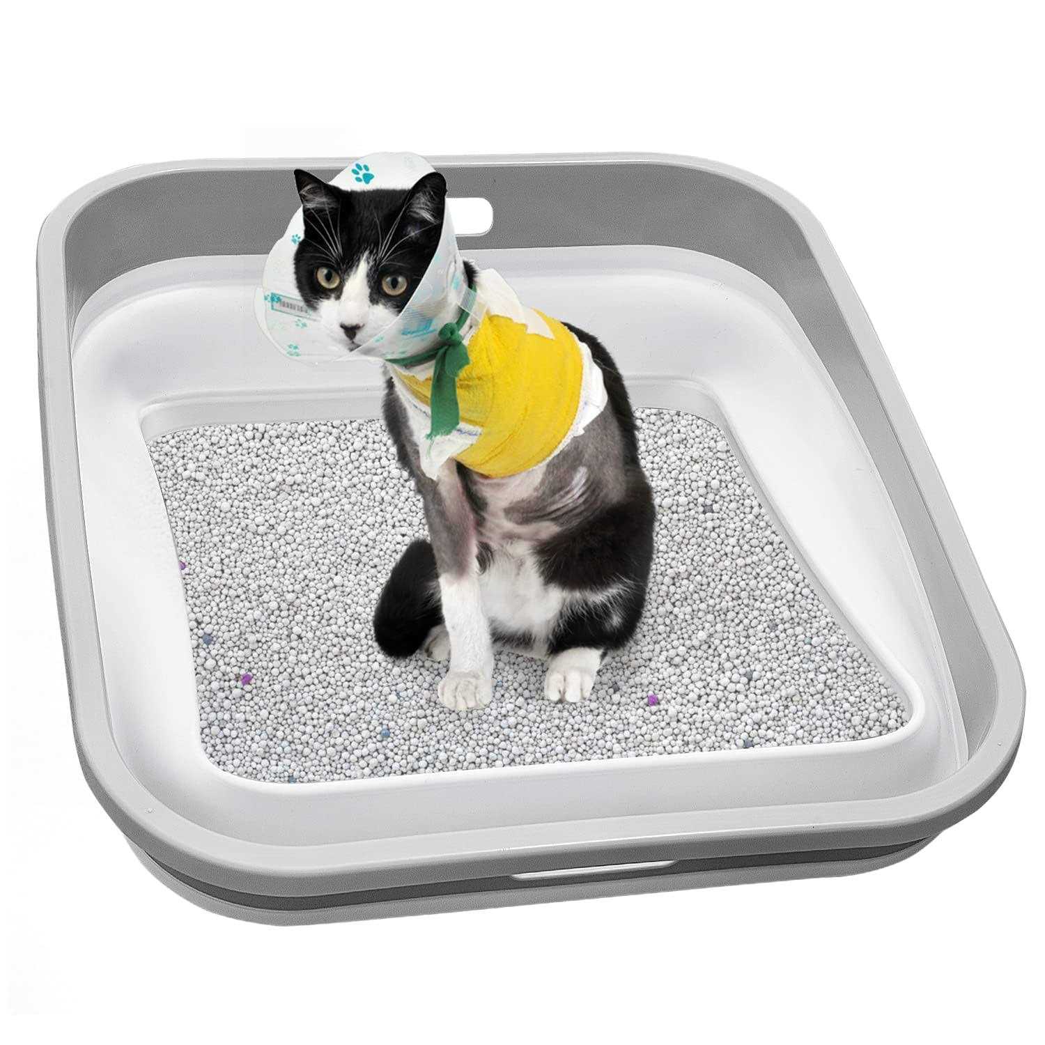 Maohegou Senior Cat Litter Box Three Legged Arthritic Open Low Entry for Sick Frail Handicap Disabled Cats - Pet Supplies online store