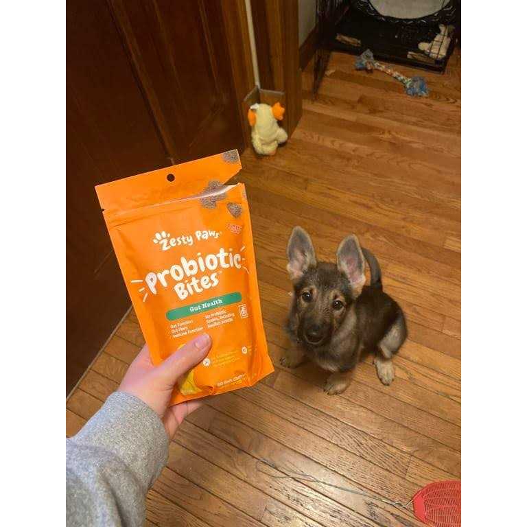 Probiotic Bites for Pets H279