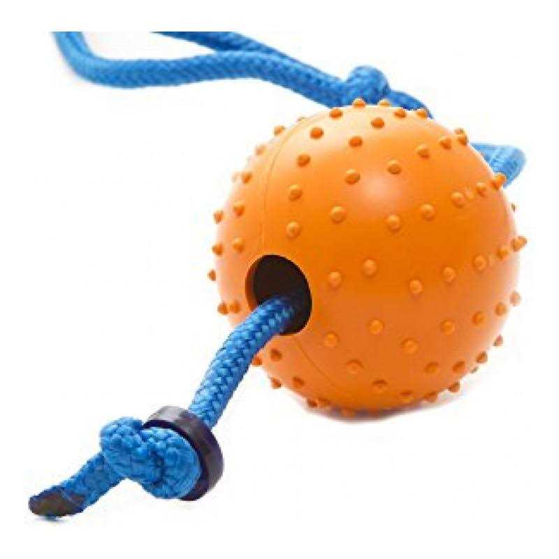 Snitch Pet Squeaker Toy H669342