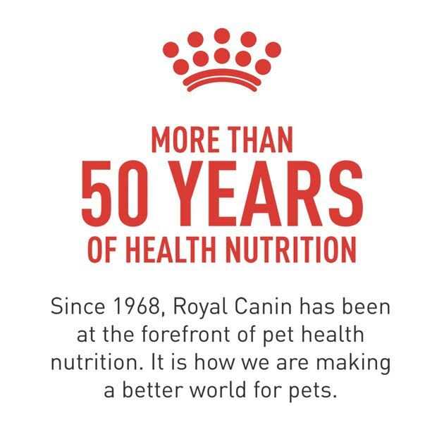 Veterinary Diet Adult Renal Support Canned Cat Food W10061