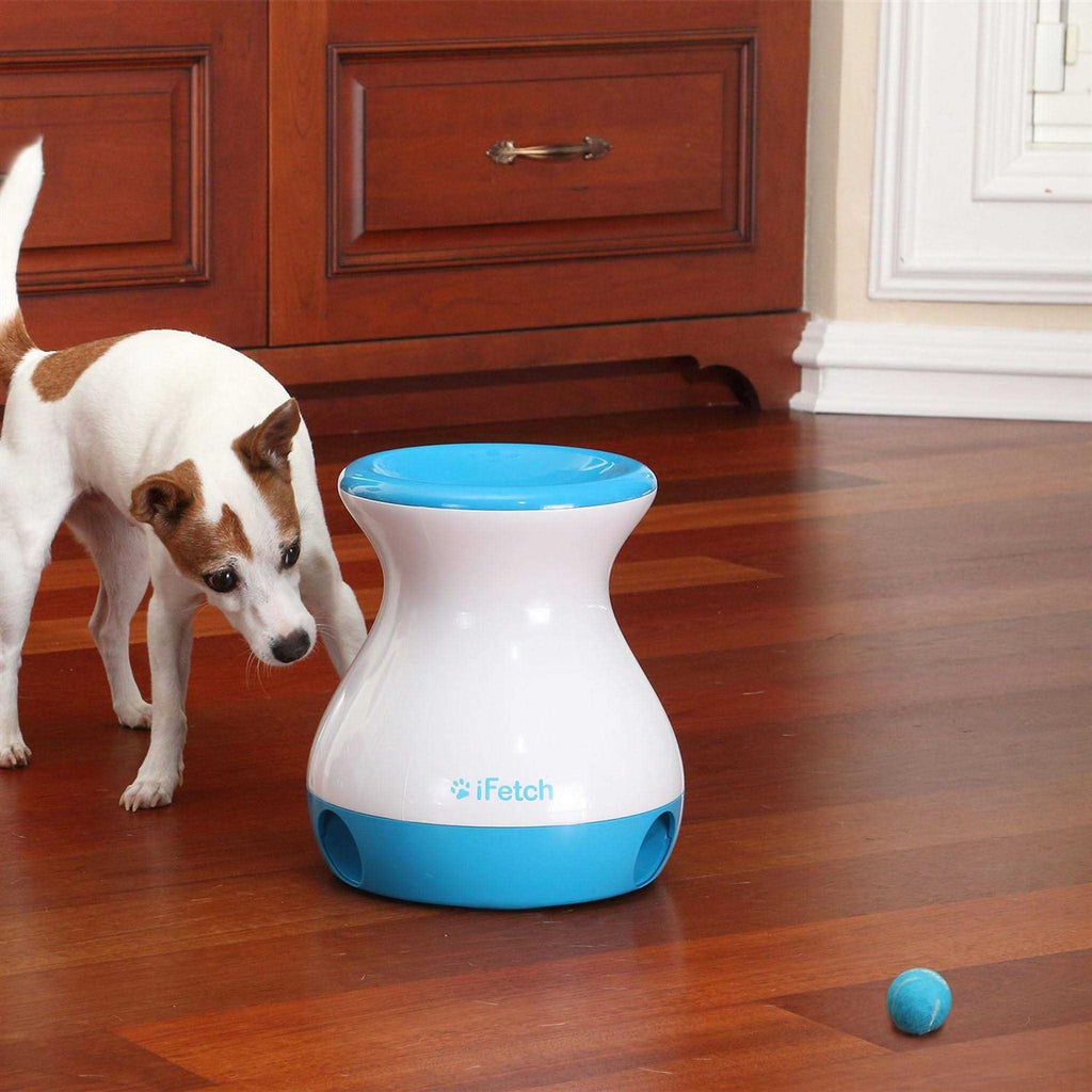 Frenzy Dog Toy S38218