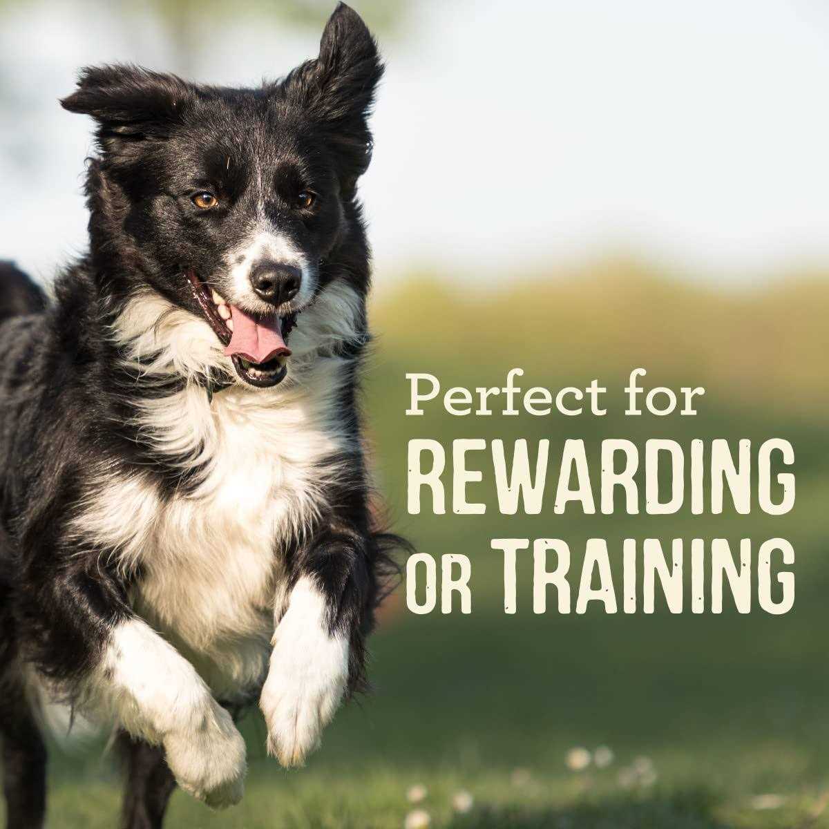 Dog Treats Power Bites A398513