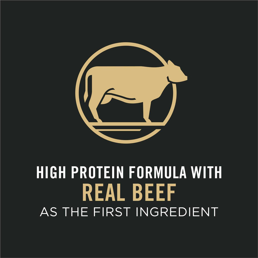 Small Breed Dry Dog Food with Beef & Rice U8082