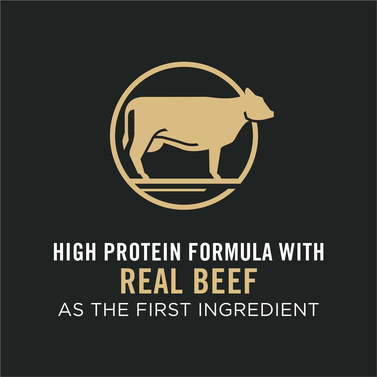 Small Breed Dry Dog Food with Beef & Rice U8082