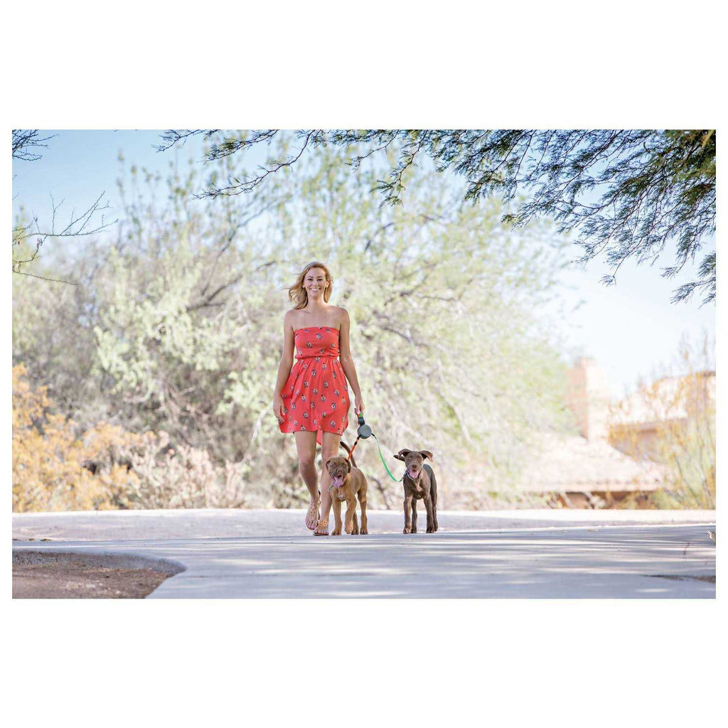 Dual Doggie Retractable Leash C593