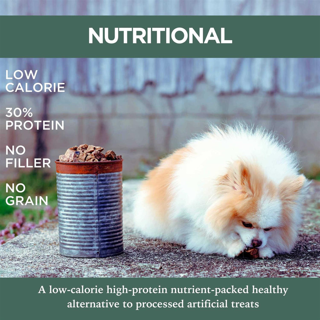 Slow Roasted Beef Lung Bites for Dogs, Grain Free Natural Treats C516