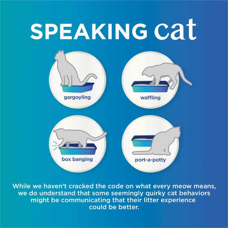 Unscented Clumping Cat Litter, Odor Control M117