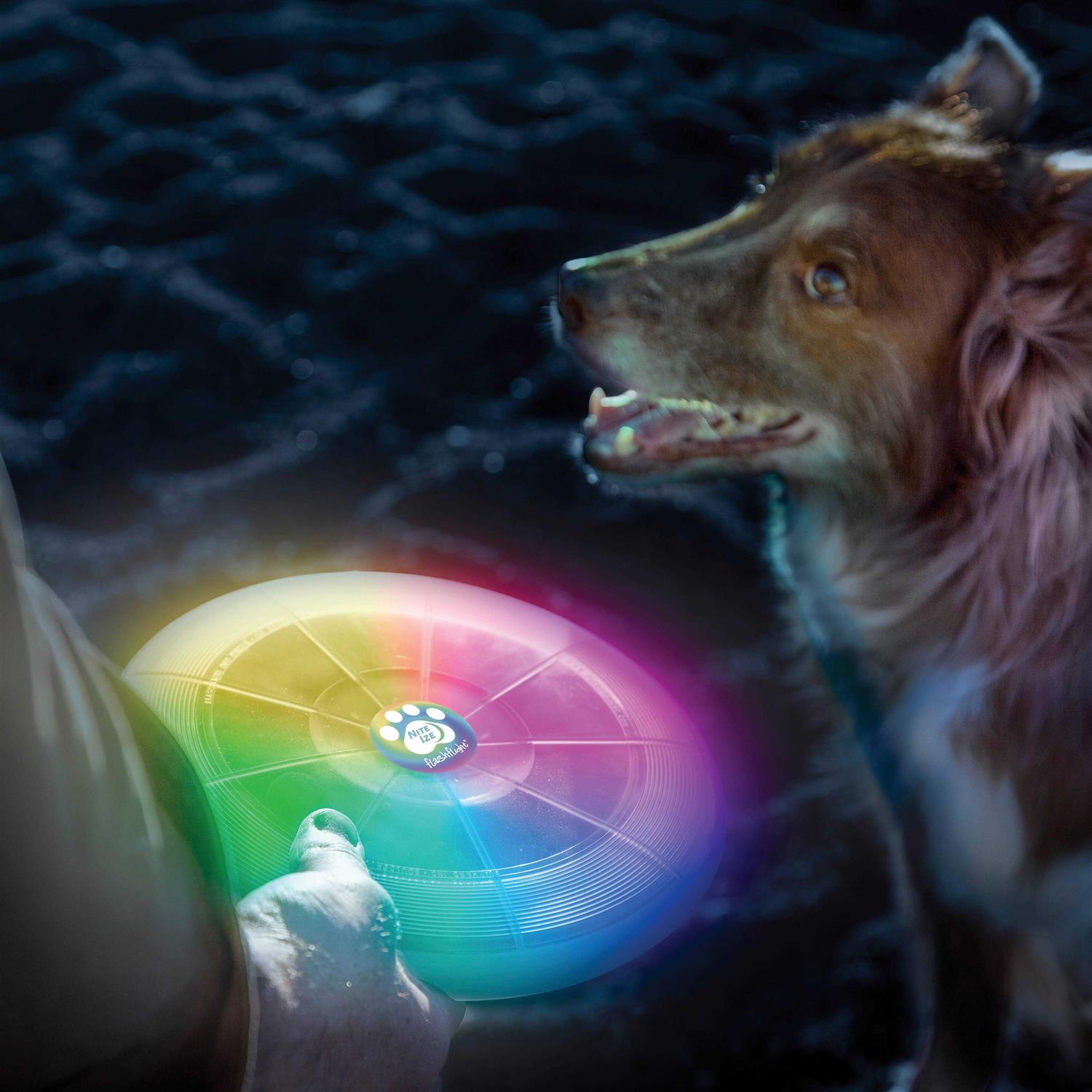 LED Flying Disc for Dogs E753