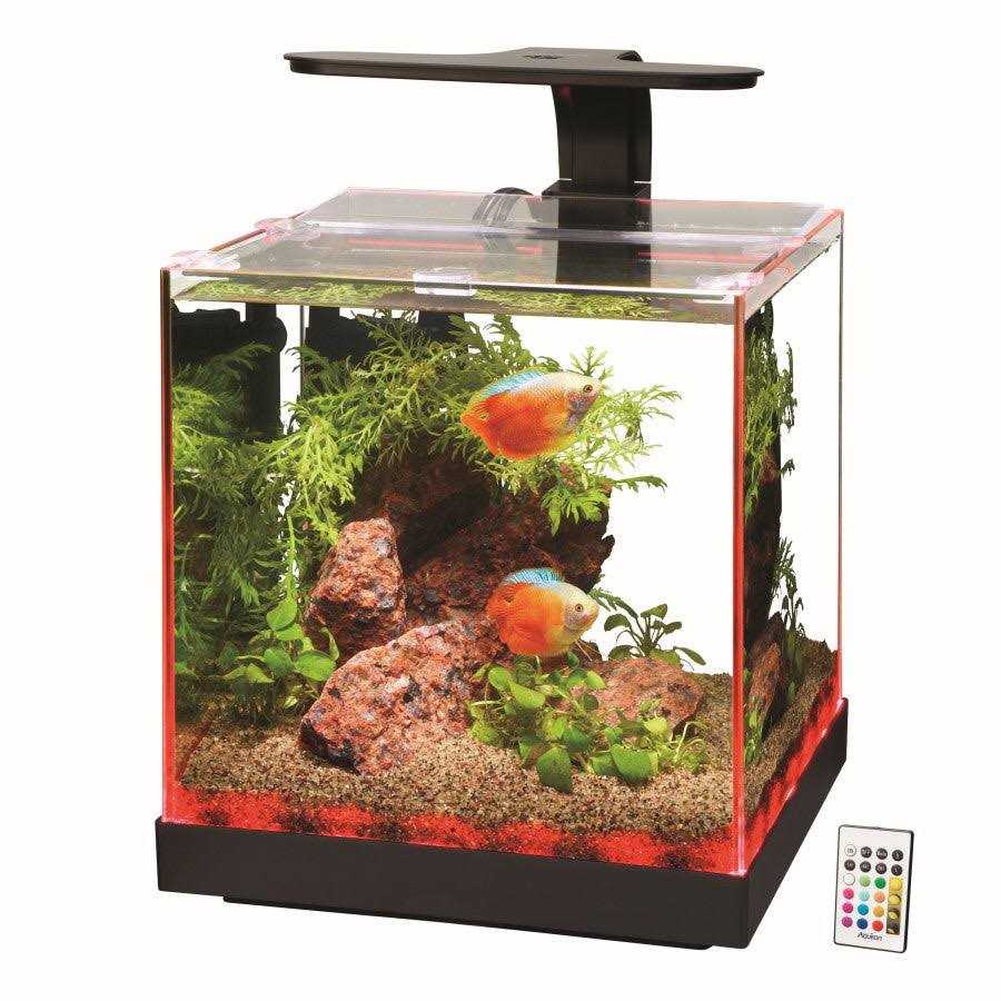 Edgelit Cube Aquarium Y21061