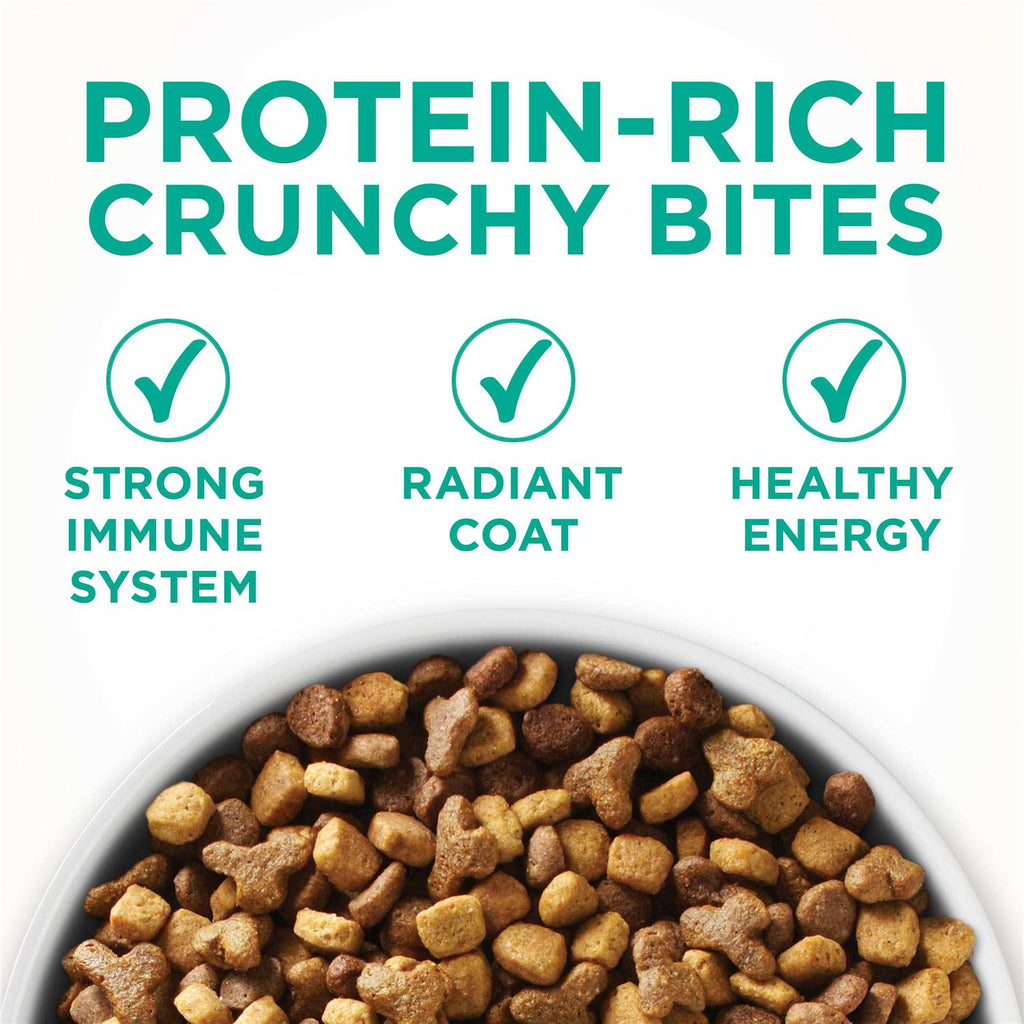 Dry Cat Food for Sensitive Skin & Stomach Y590
