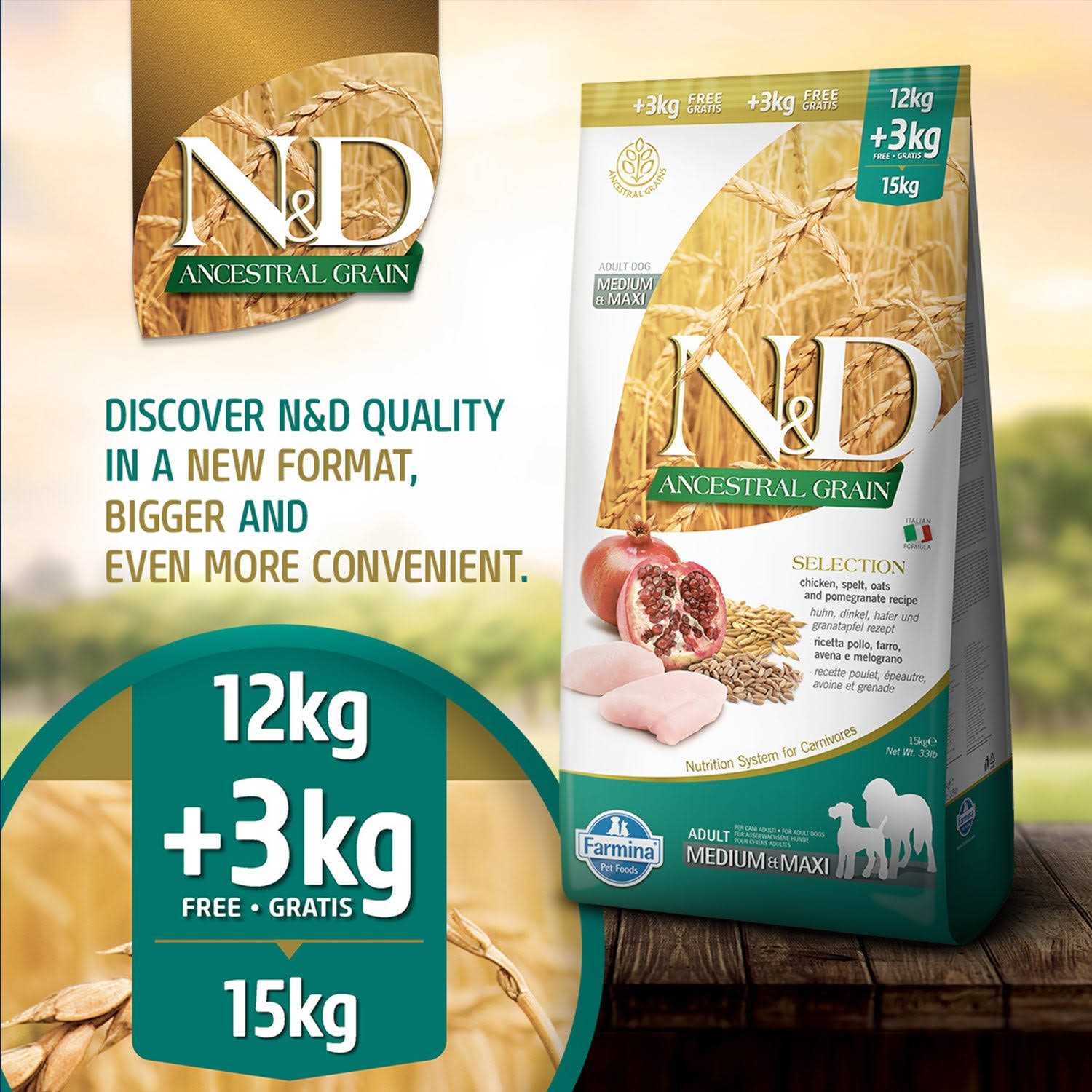 Chicken & Pomegranate Grain Dry Dog Food for Medium & Maxi Adult Dogs L340