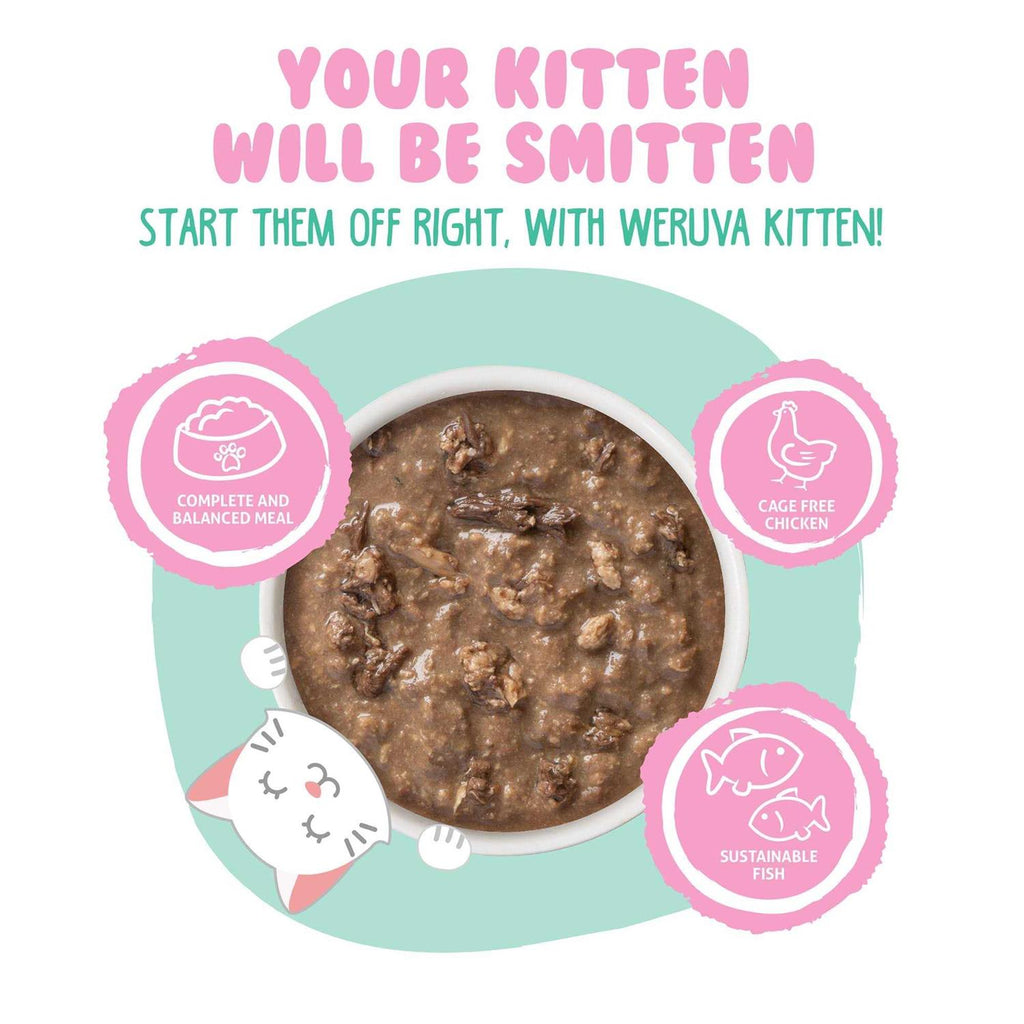 Kitten Chicken & Tuna in Gravy Wet Cat Food O391859