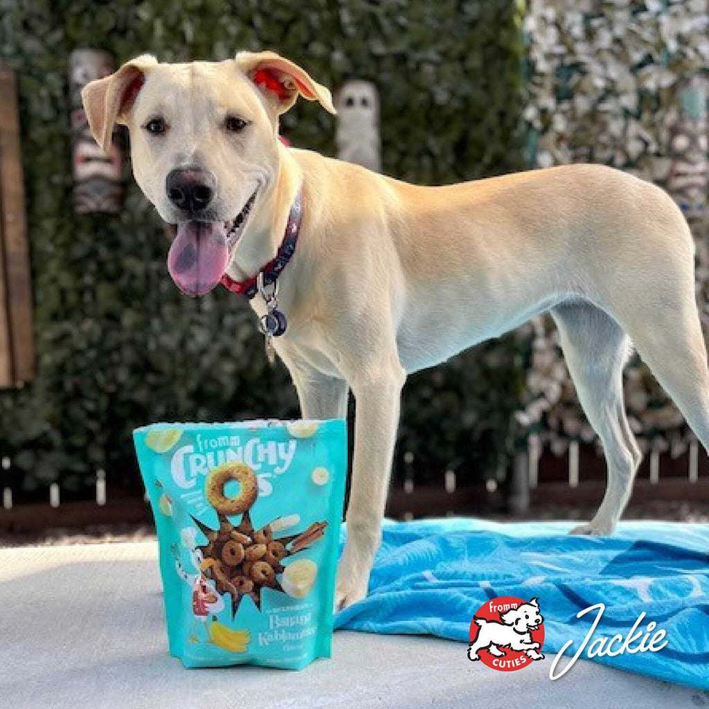 Crunchy O's Dog Treats Q880