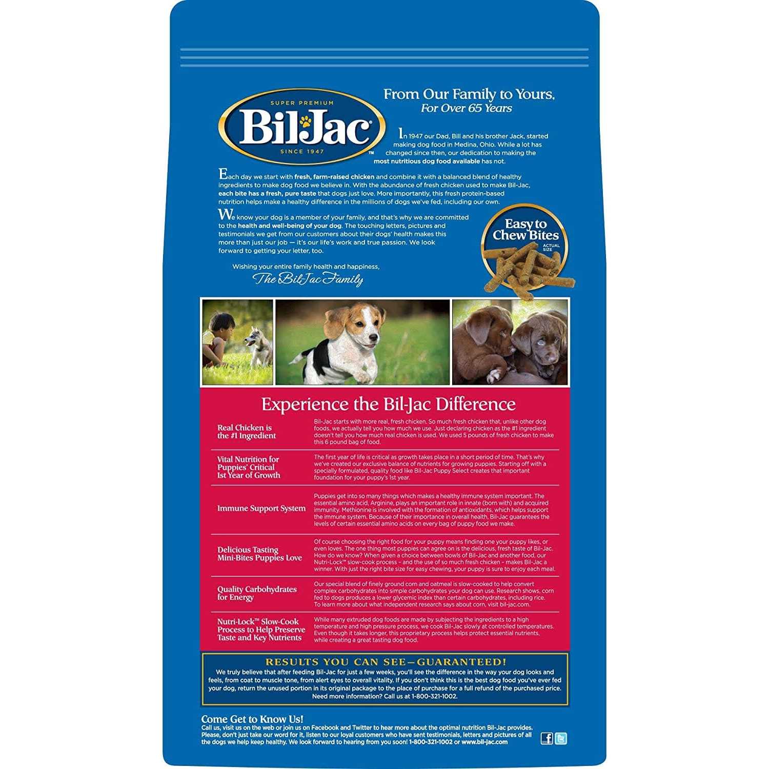 Chicken Puppy Dry Dog Food G486393