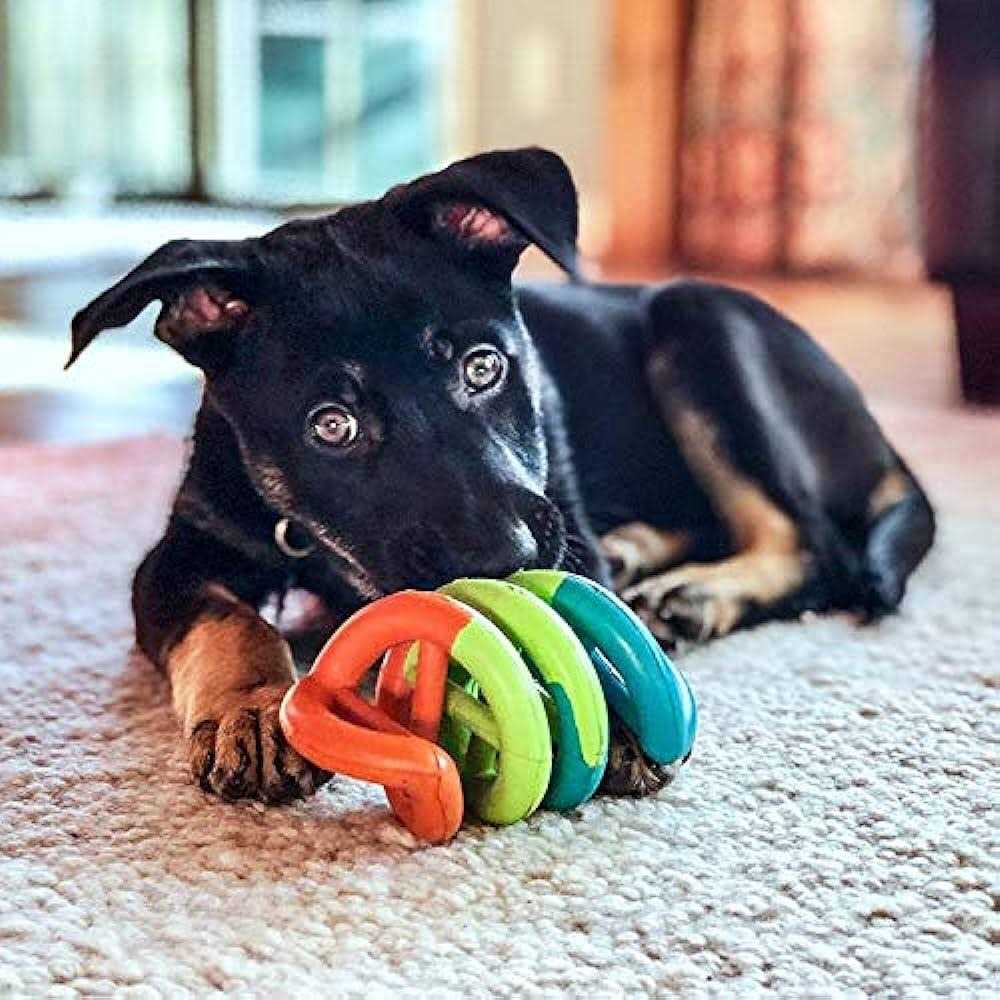 Dog Toy W700737