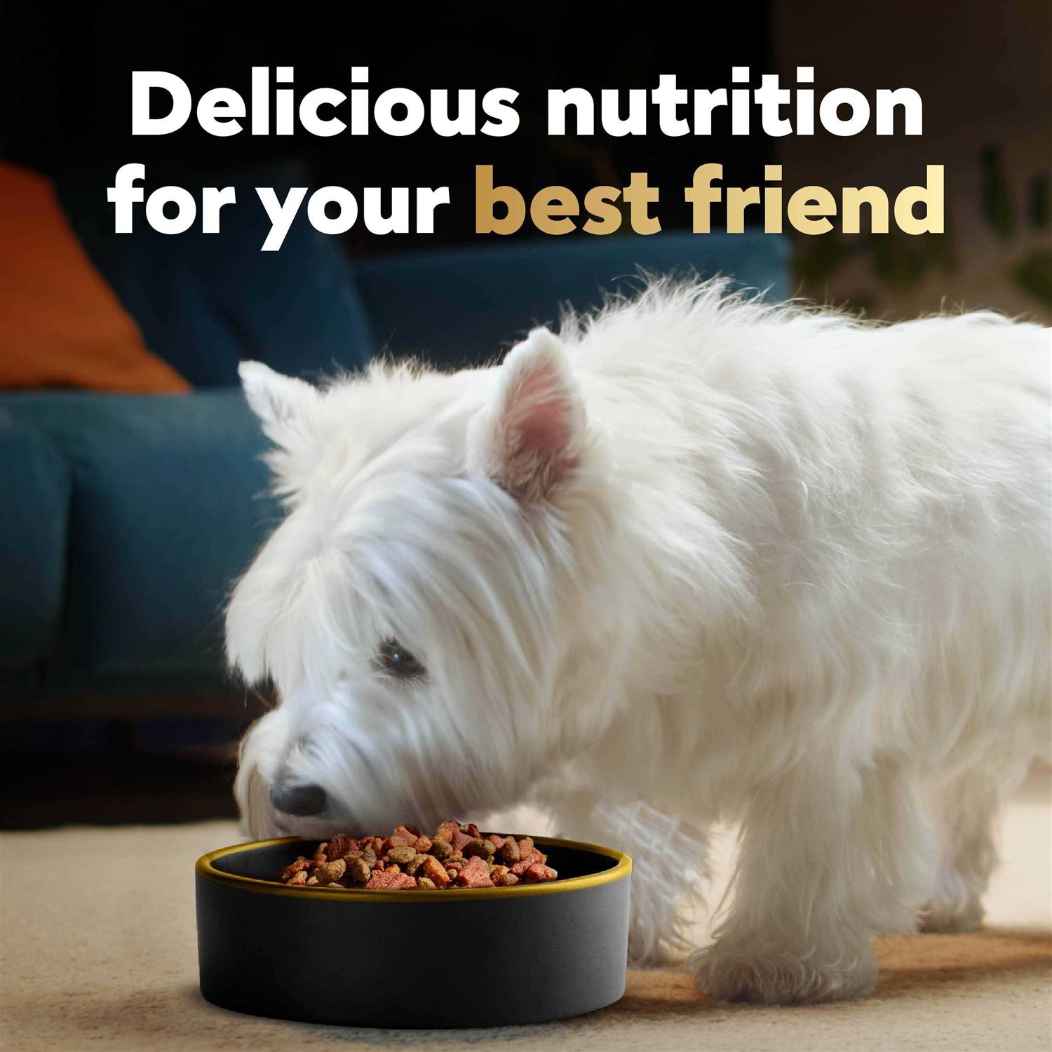 Small Breed Spring Vegetables Dry Dog Food W602