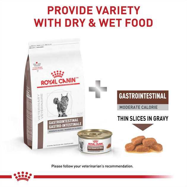 Gastrointestinal Moderate Calorie Dry Cat Food O2307