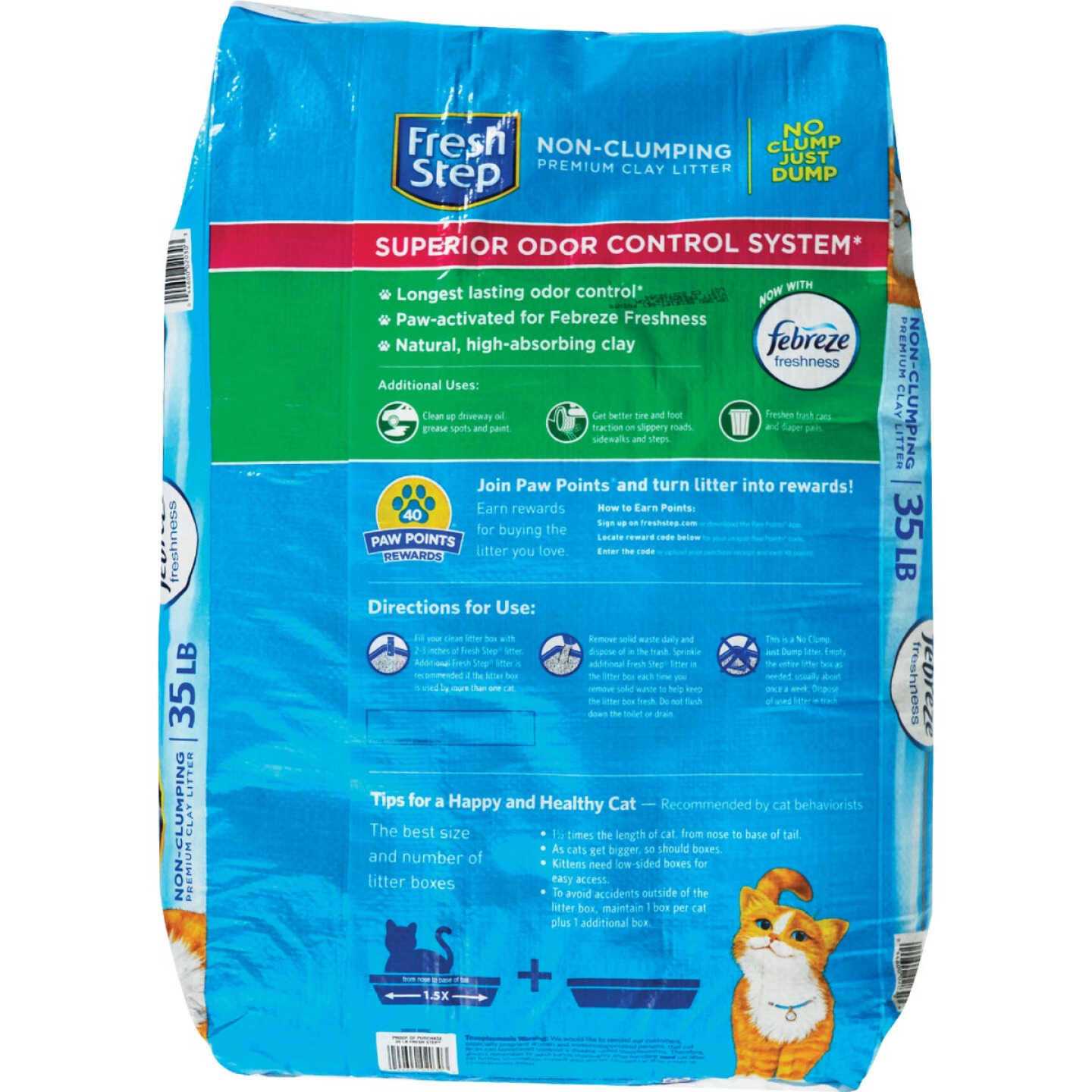 Scented Non-Clumping Cat Litter B110