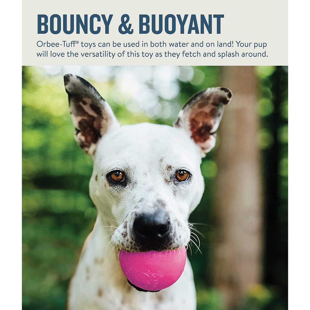 Squeak Toy Ball for Dogs N80474