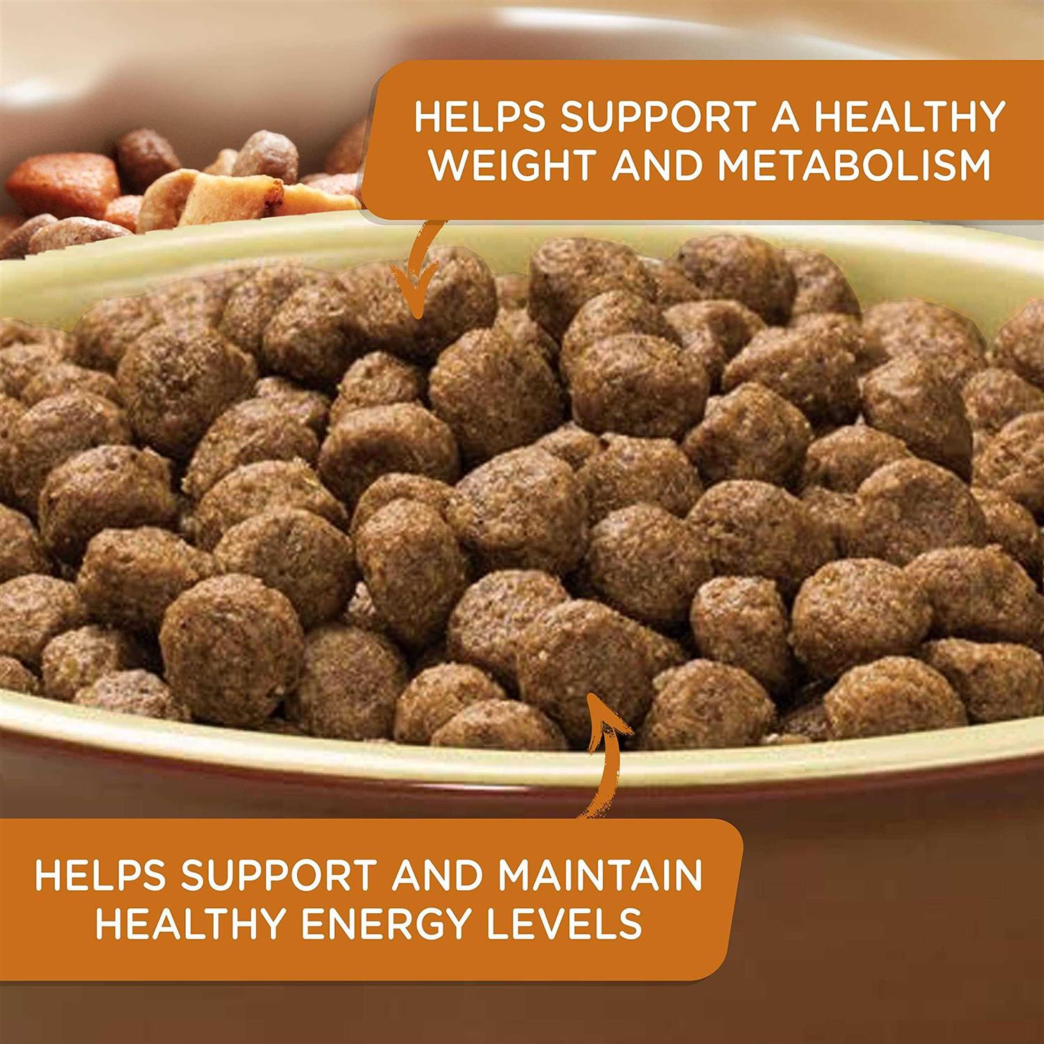 Real Turkey Brown Rice & Venison Recipe Dry Dog Food J600963