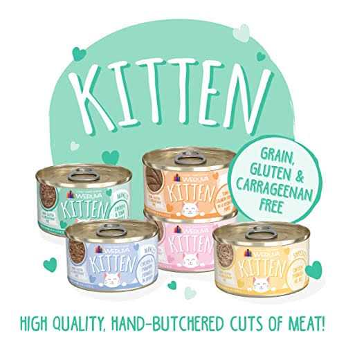 Kitten Chicken & Tuna in Gravy Wet Cat Food O391859