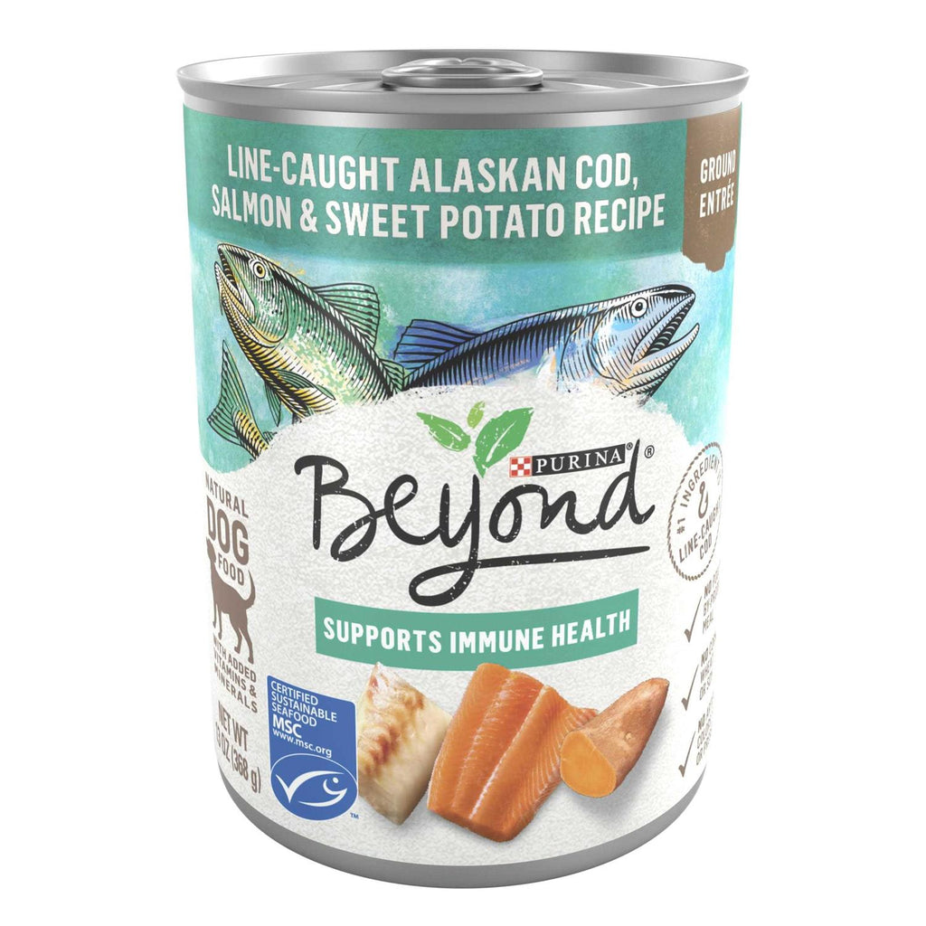 Purina Beyond Alaskan Cod Salmon &amp; Sweet Potato Wet Dog Food Can - Pet Supplies online store