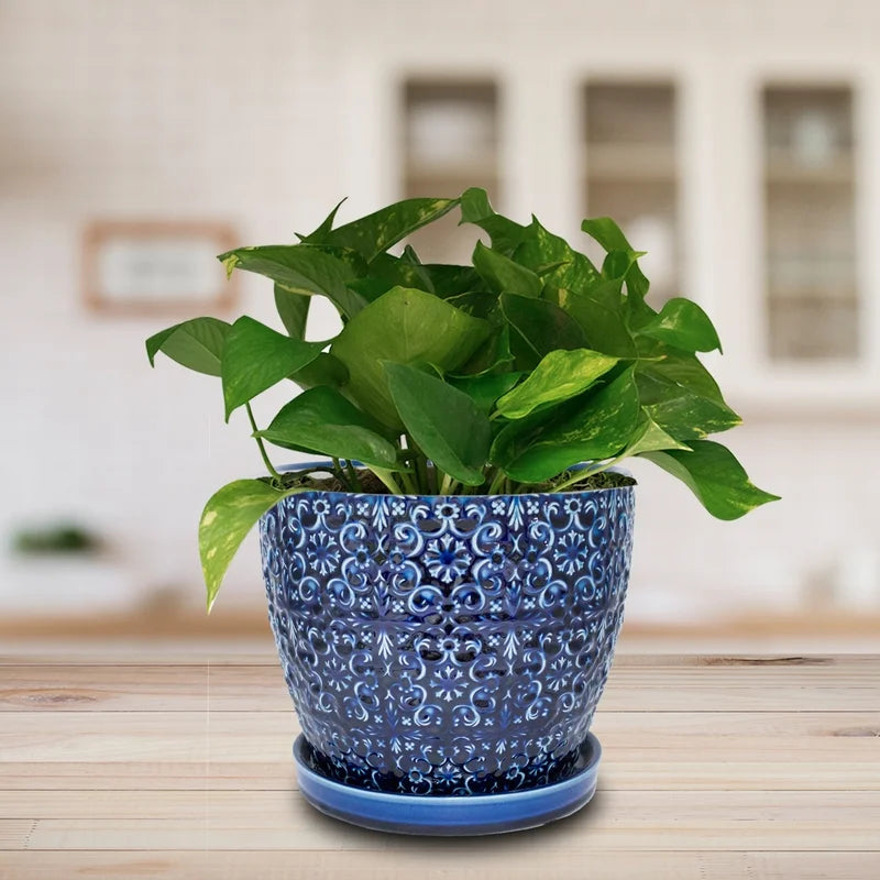 Blue Ceramic Planter 10 Inch Round C553582