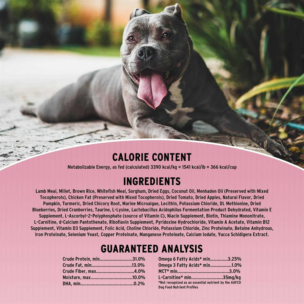Sensitive Skin & Stomach Dry Dog Food F848