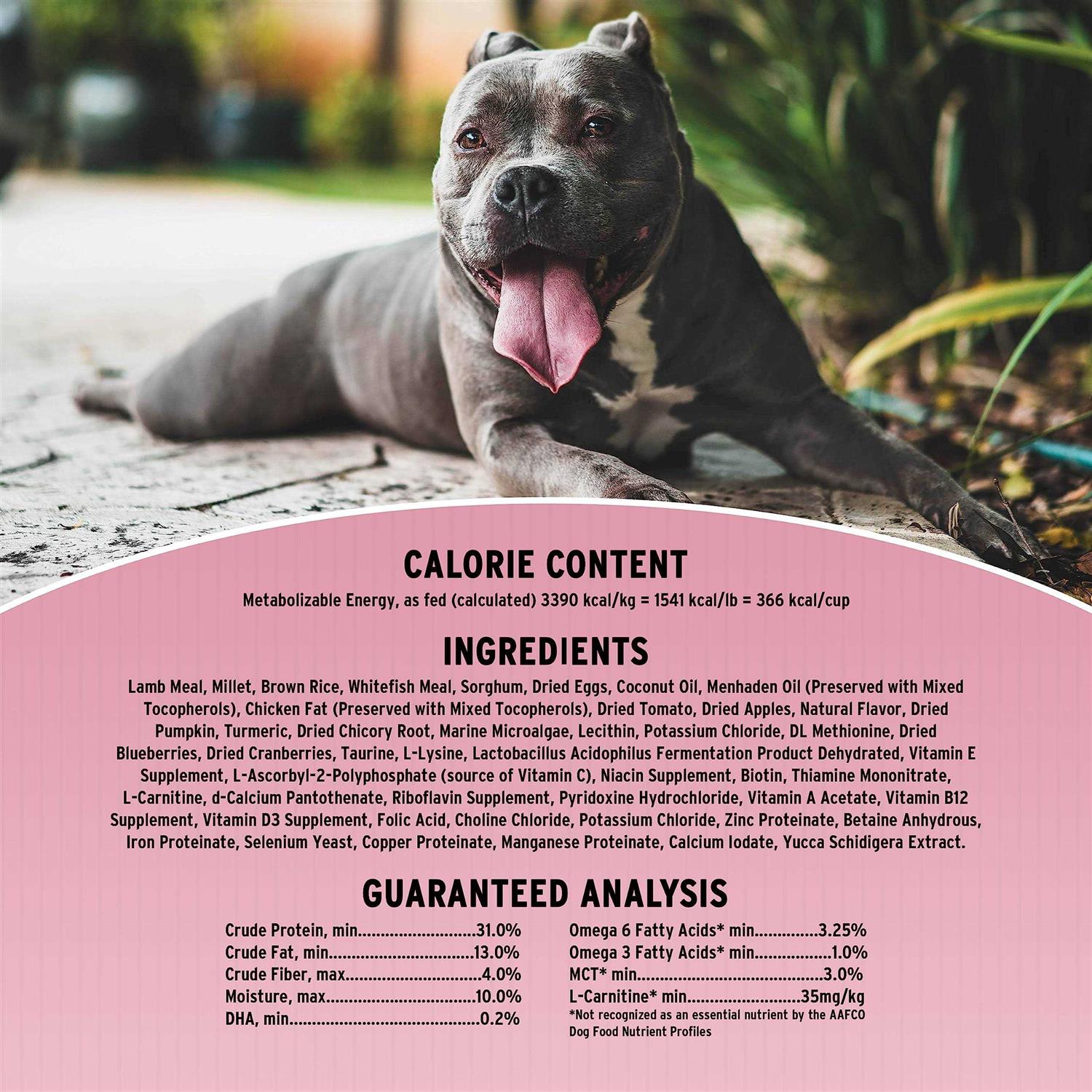 Sensitive Skin & Stomach Dry Dog Food F848