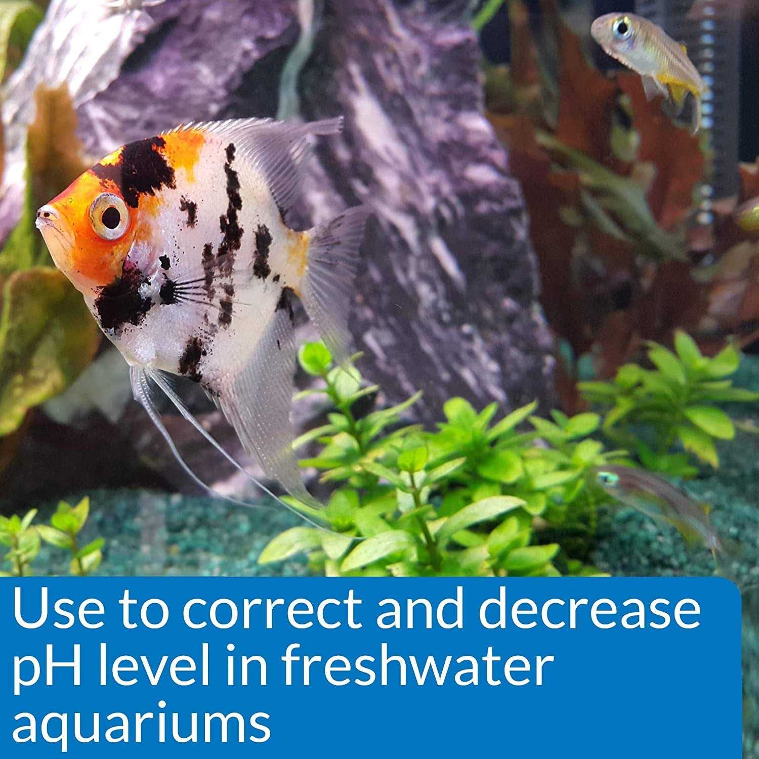 pH Down for Aquarium P375585