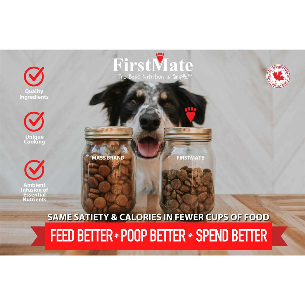 Grain Friendly Dry Food for Active Dogs & Puppies A767940