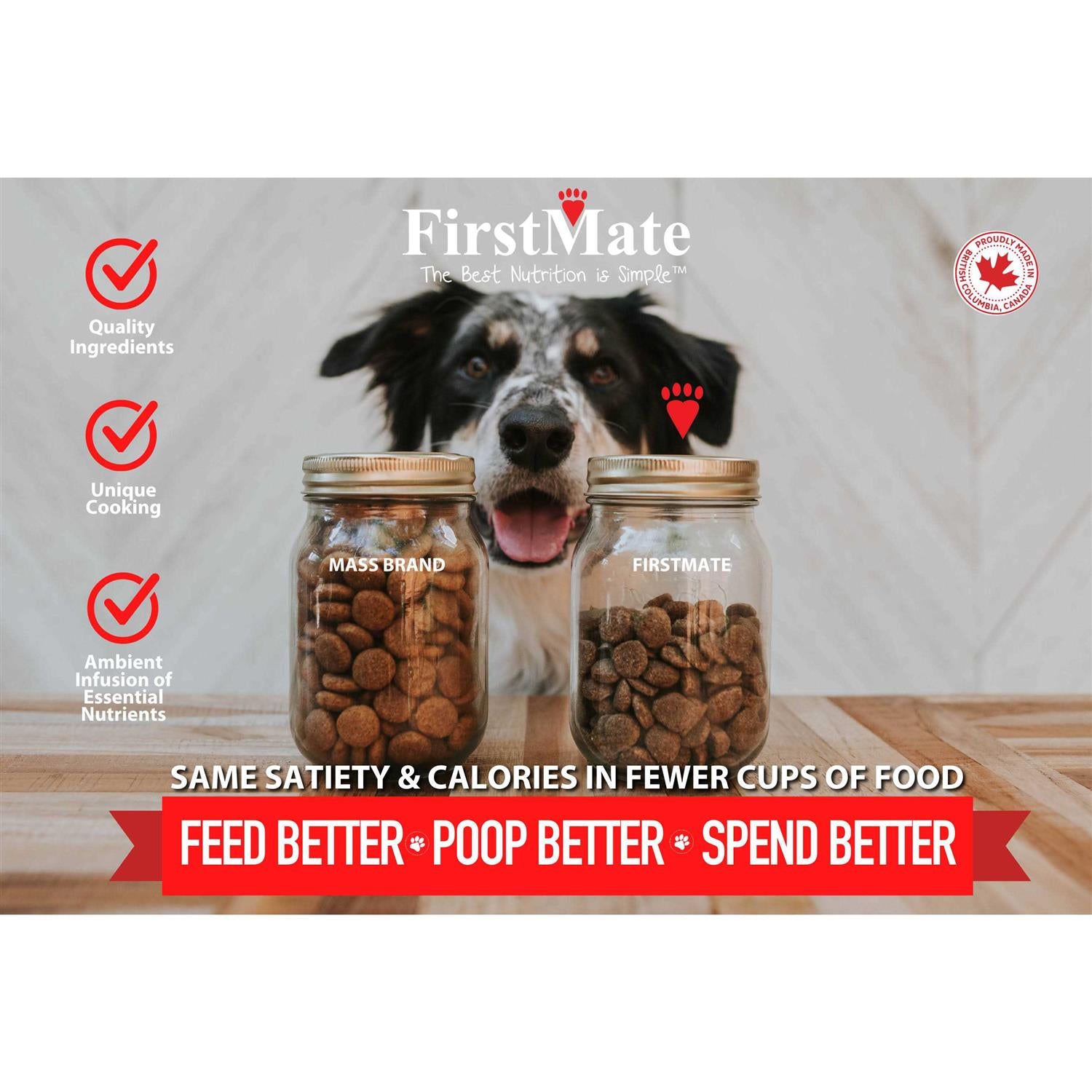 Grain Friendly Dry Food for Active Dogs & Puppies A767940