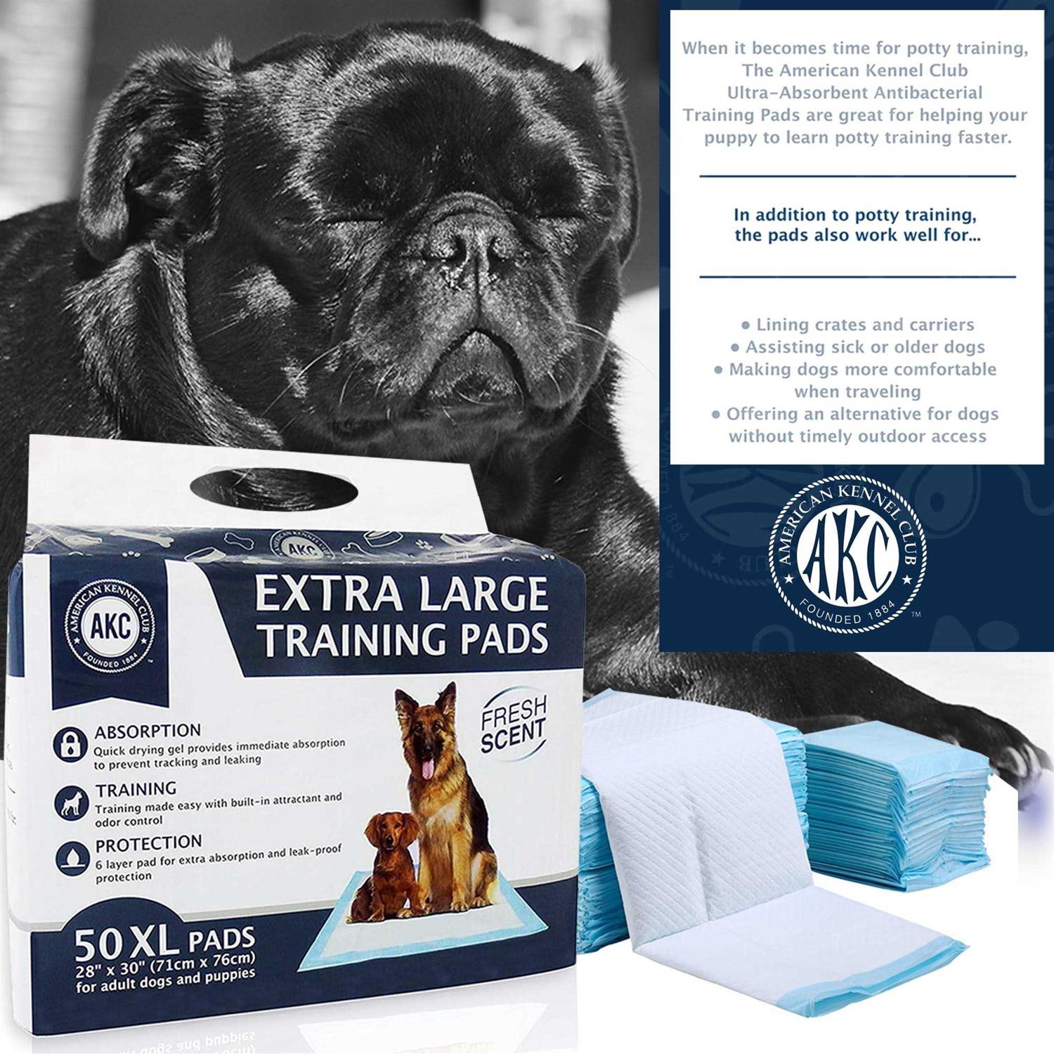 Training Pads for Dogs Q2039