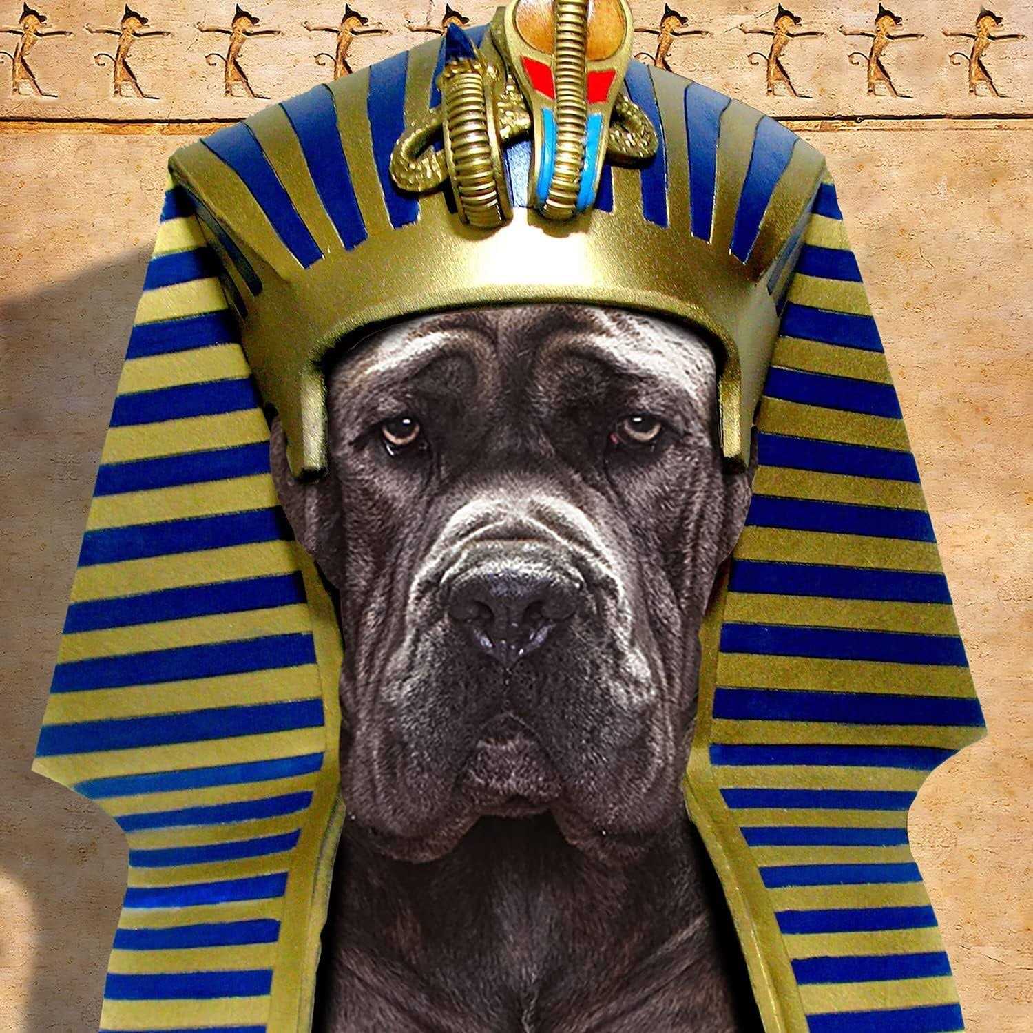 Adult Ancient Gold Dog Dry Food P834