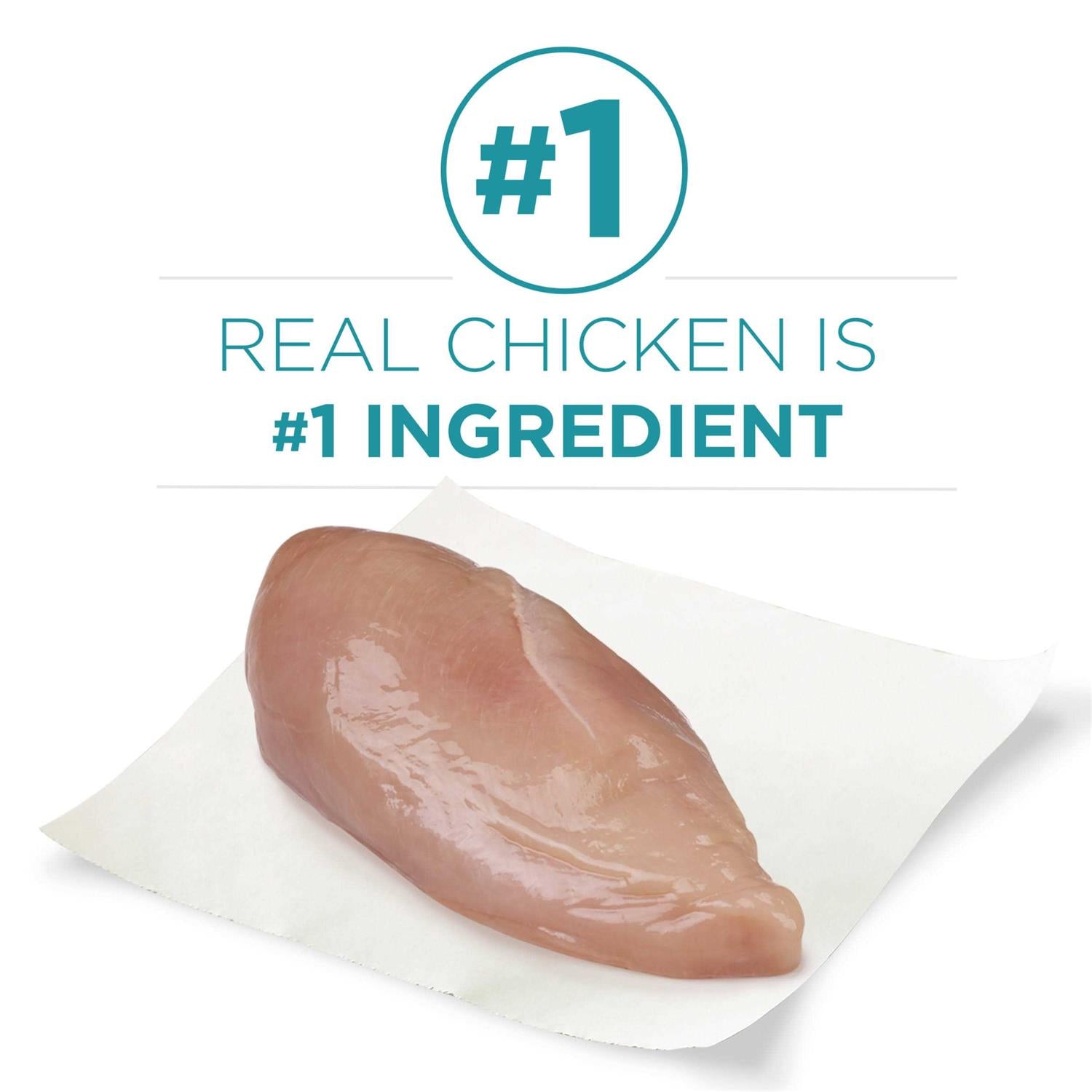 Dry Cat Food with Real Chicken A542