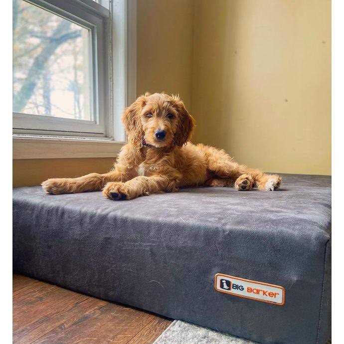 Orthopedic Dog Bed with Headrest Pillow Top S7038