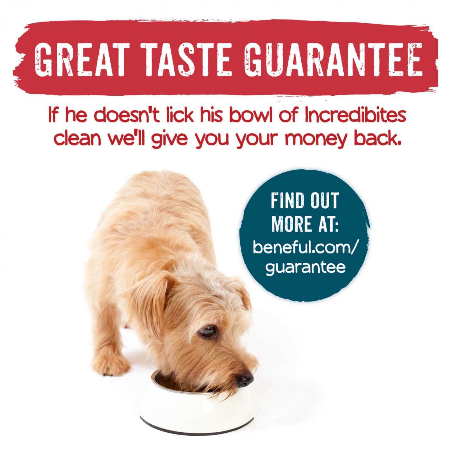 Beef Dry Dog Food J204