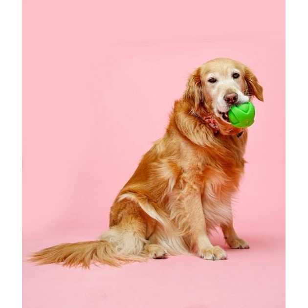 Dog Toy Ball for Pets E36395