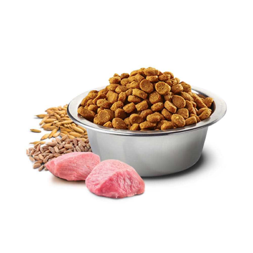 Chicken & Pomegranate Adult Dry Cat Food Z832