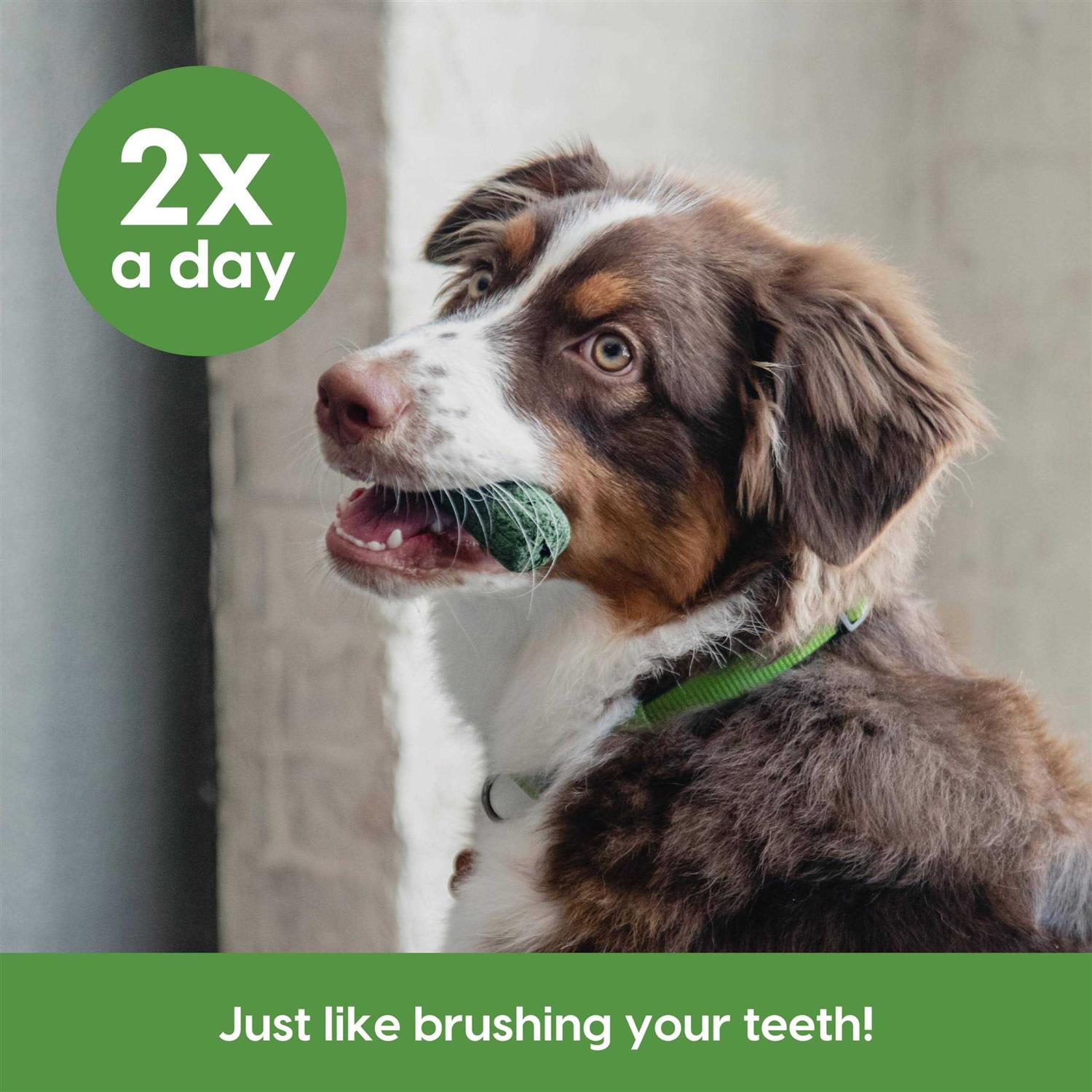 Brushless Toothpaste for Sensitive Gums M44679